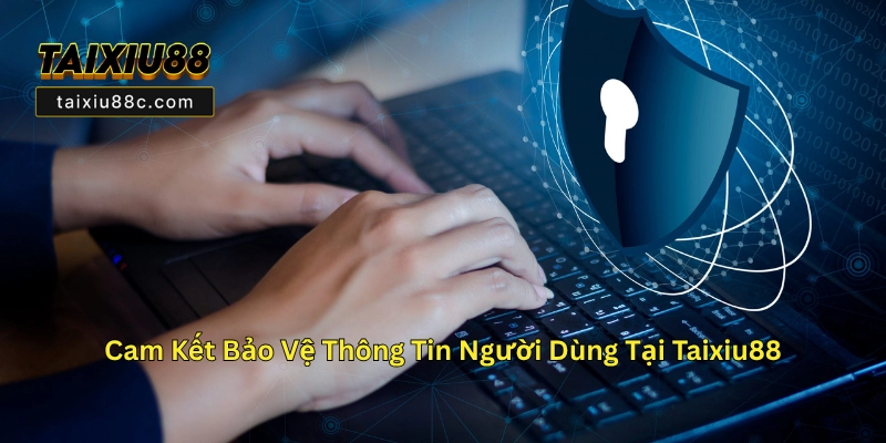 Chính Sách Bảo Mật Taixiu88C - Bảo Vệ Thông Tin Người Dùng Hiệu Quả 2 Cam Kết Bảo Vệ Thông Tin Người Dùng Tại Taixiu88