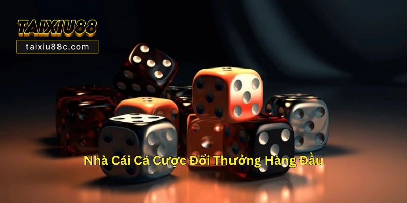Win79 – Nhà Cái Cá Cược Tài Xỉu Uy Tín, Đổi Thưởng Nhanh 3 Win79